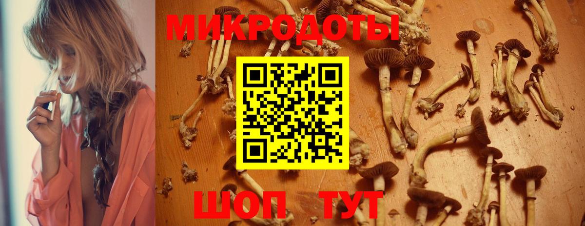 Псилоцибиновые грибы мицелий Мценск